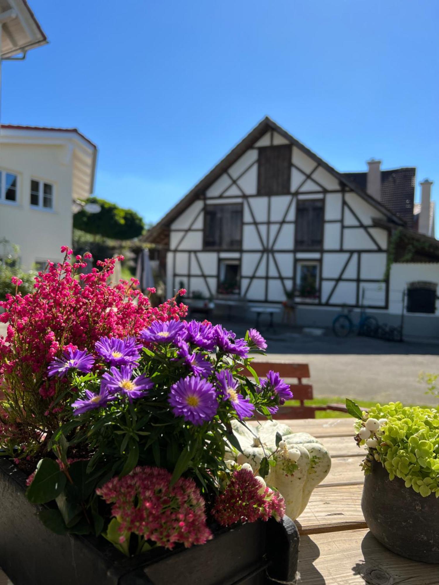 Cafe Canape, Wohlfuehlen Im Schoenen Hof Zwischen Ravensburg & Bodensee Exterior foto